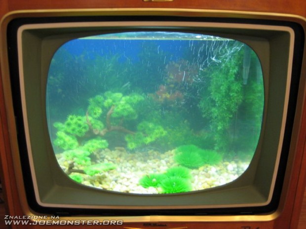 Widok jak w basenie -  telewizor z zamontowanym do środka akwarium