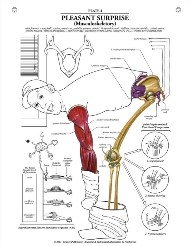 Anatomia i tablice anatomiczne