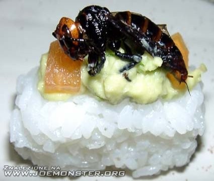 Sushi z owadów