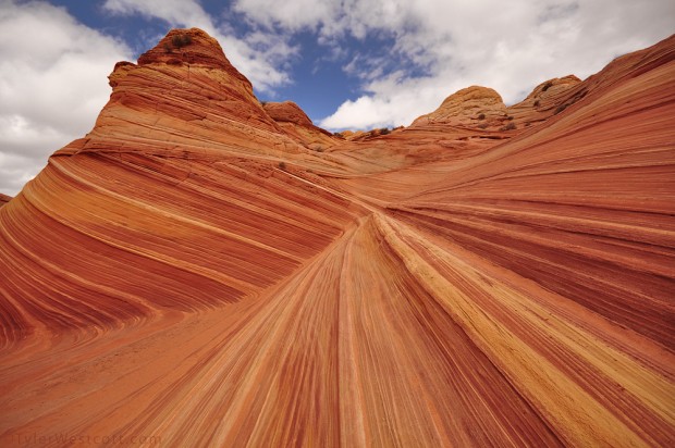 The Wave w Arizonie - mięsne skały z USA