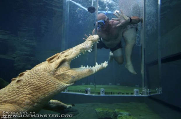 Klatka śmierci: ty kontra krokodyl