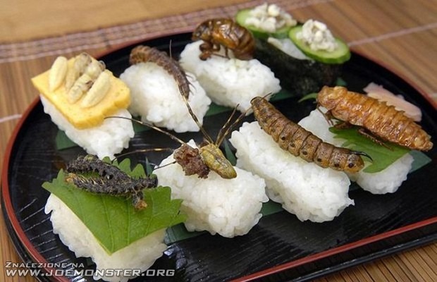Sushi z owadów
