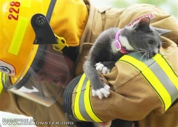 Strażak i uratowany kot