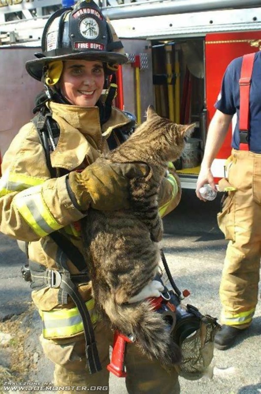 Strażak i uratowany kot