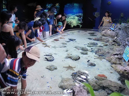 Największe akwarium świata