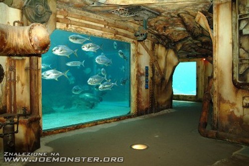 Największe akwarium świata