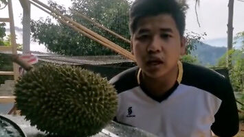 Wyjątkowo drogi durian