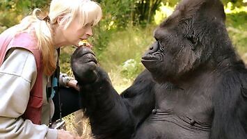 Rozmowa z gorylicą Koko w języku migowym