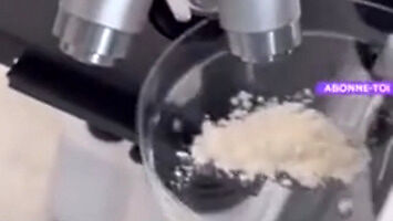 Mąka pod mikroskopem