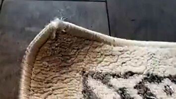 Prosty sposób na zawinięte narożniki dywanu