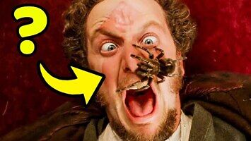 Jaki pająk wystąpił w filmie „Kevin sam w domu”?