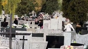 Bójka na cmentarzu w Radomiu we Wszystkich Świętych