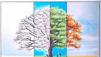 Cztery pory roku na jednym drzewie