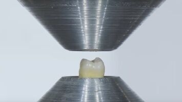 Jak mocne są ludzkie zęby?