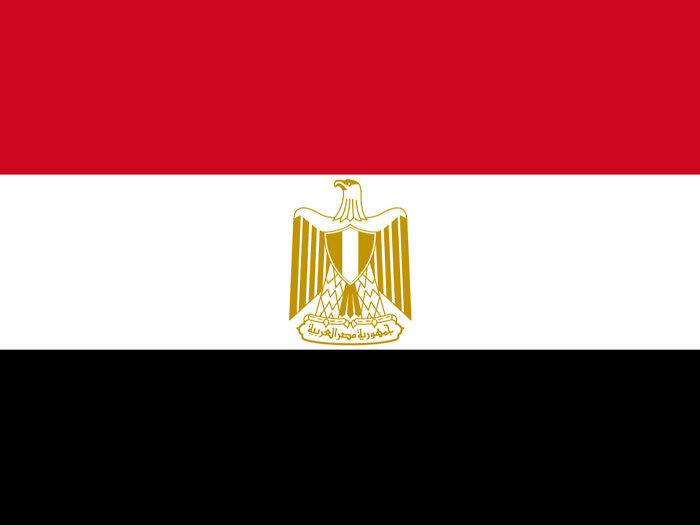 Kolory tej flagi nawiązują do flagi wyzwolenia Arabów. Na środku widnieje złoty orzeł Saladyna.