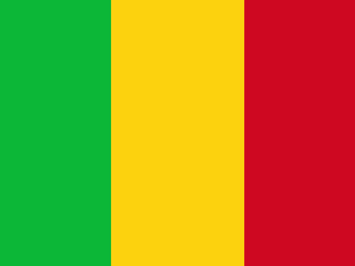 Ta flaga zawiera barwy panafrykańskie, a jako wzór posłużyła jej francuska „Tricolore”. To powinno być pewną wskazówką.