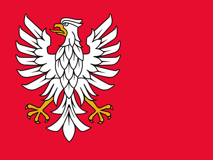 Czerwona flaga z umieszczonym po lewej wizerunkiem orła srebrnego (białego).