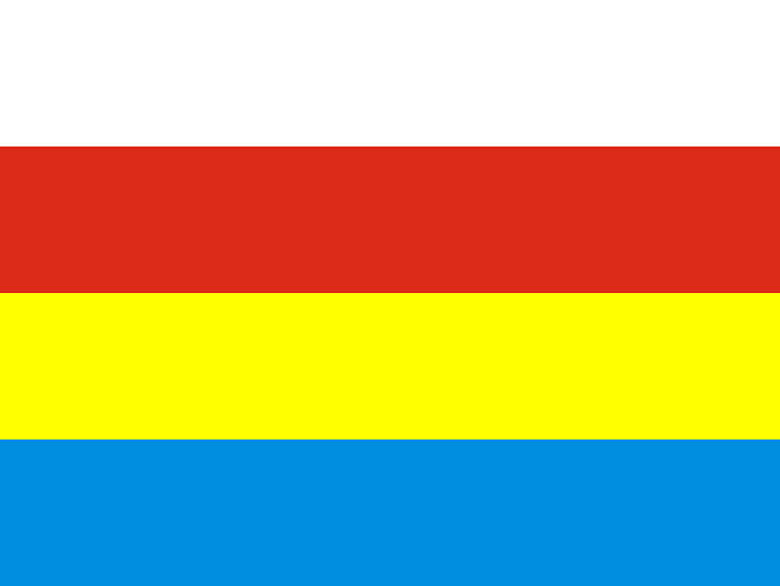 Cztery poziome pasy, kolejno od góry: biały, czerwony, żółty i błękitny.