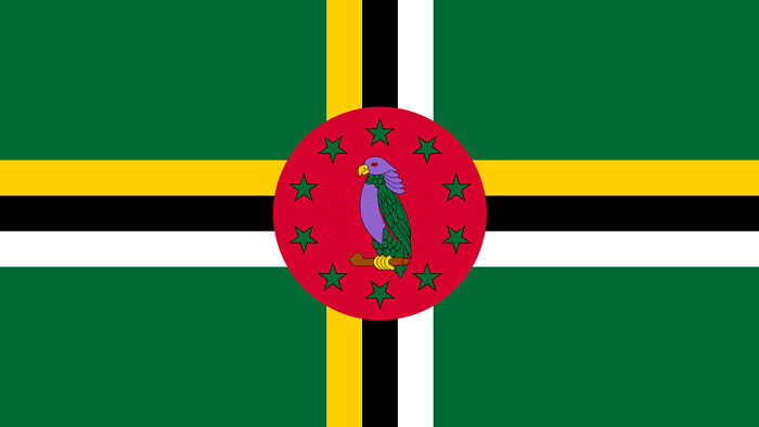 Umieszczona pośrodku flagi papuga jest symbolem wyspy; znajduje się ona także na herbie.
