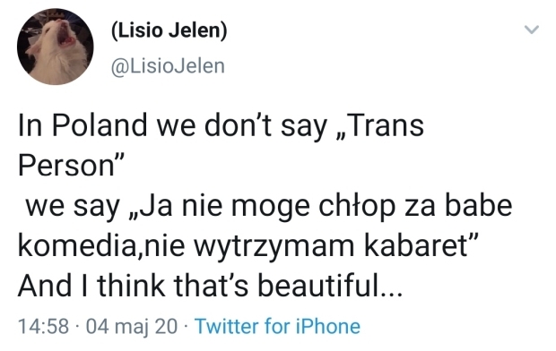 W Polsce nie mówimy "osoba trans", mówimy "Ja nie mogę, chłop za babę, komedia, nie wytrzymam, kabaret" i myślę, że to jest piękne...