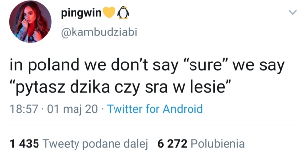 W Polsce nie mówimy "jasne", mówimy "pytasz dzika, czy sra w lesie?"