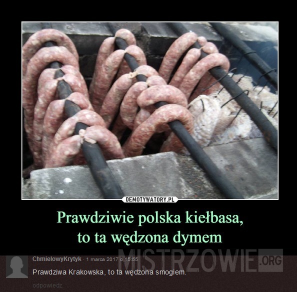 Prawdziwie polska kiełbasa – 