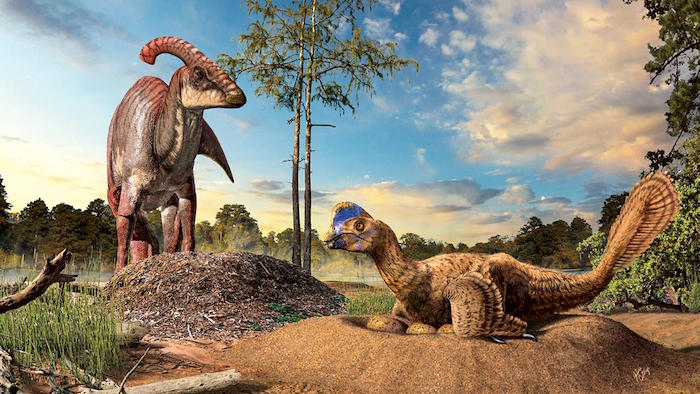Randki ze skamielinami dinozaurów