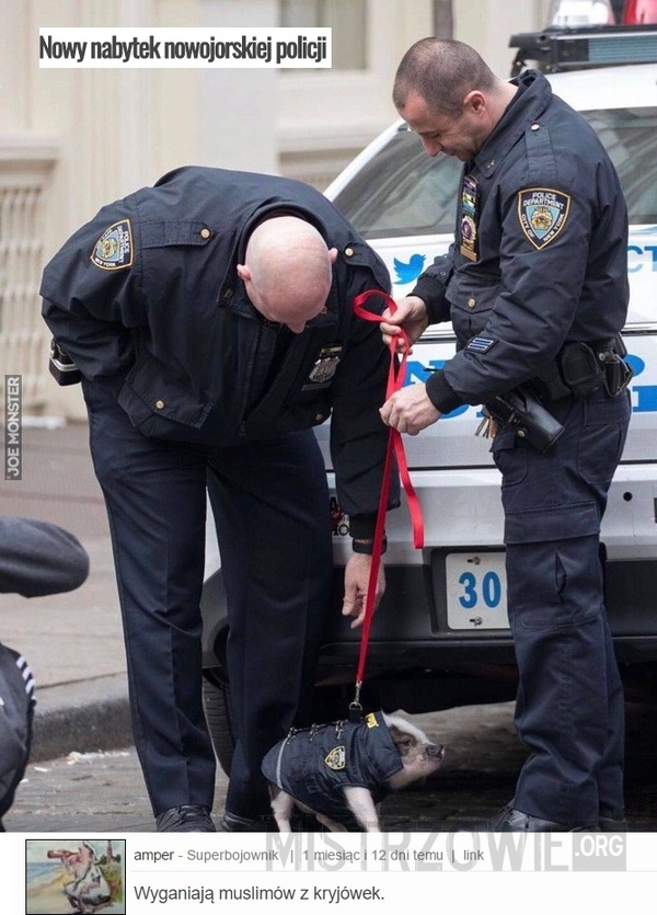 Nowy nabytek nowojorskiej policji –  