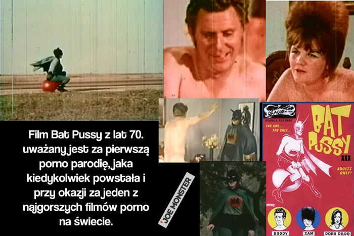 Film Bat Pussy z lat 70. uważany jest za pierwszą porno parodię, jaka kiedykolwiek powstała i przy okazji za jeden z najgorszych filmów porno na świecie.