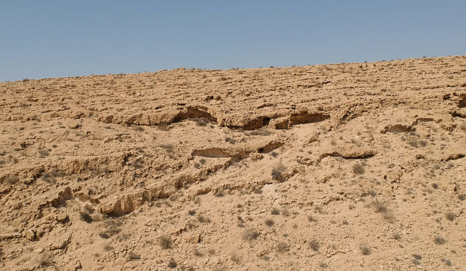 Misja Negew - zdjęcia z pustyni na Joe Monster.org