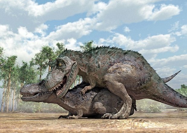 Tyrannosaurus rex - Joe Monster