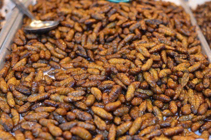 7 umiarkowanie smakowitych faktów o robakach i larwach (czerwiach)