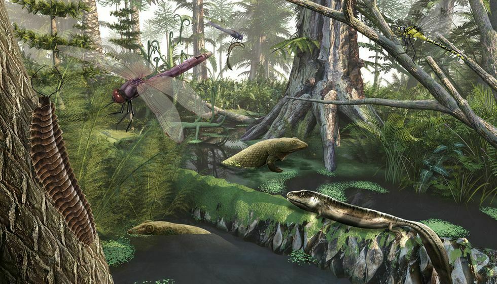 Why giant insects ruled Earth in the Carboniferous - Big Think