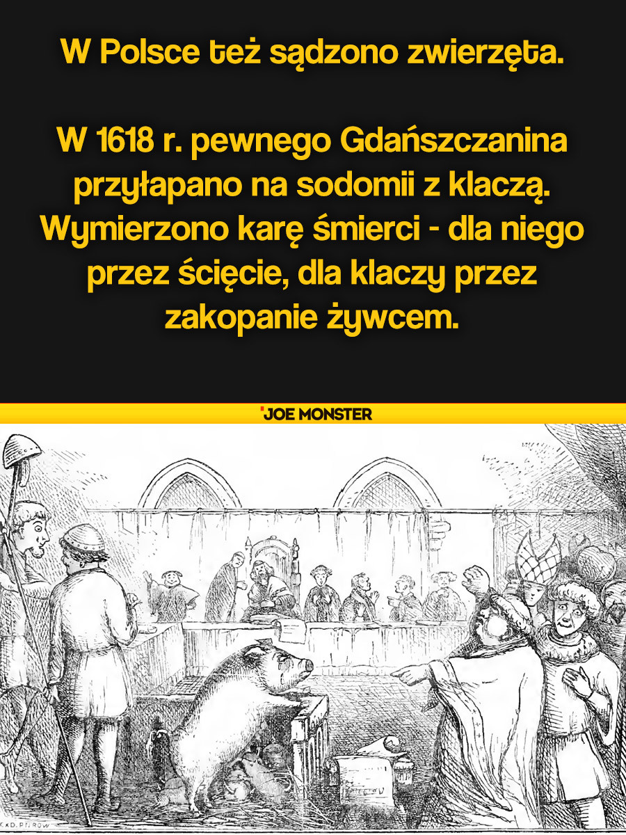 W 1618 r. pewnego Gdańszczanina przyłapano na sodomii z klaczą. Wymierzono karę śmierci - dla niego przez ścięcie, dla klaczy przez zakopanie żywcem.