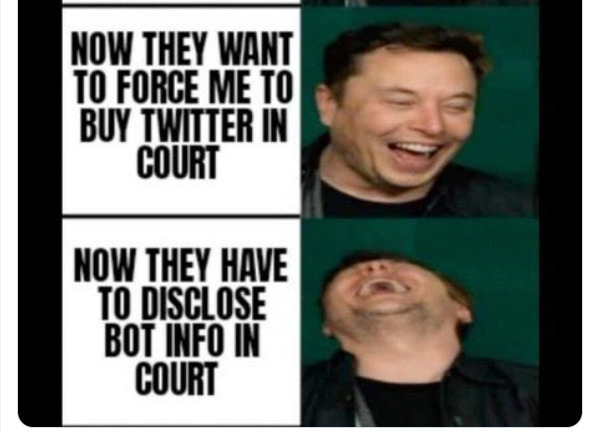 Musk-2.png