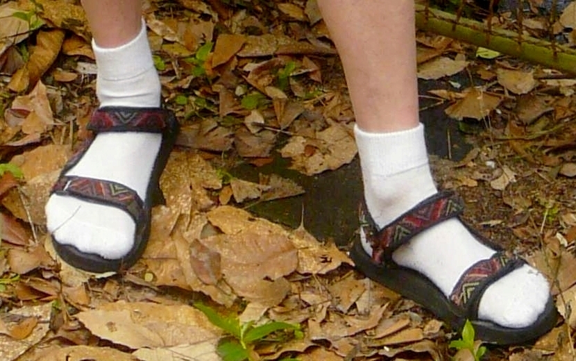 Sandals_Worn_wth_White_Ankle_Socks.jpg