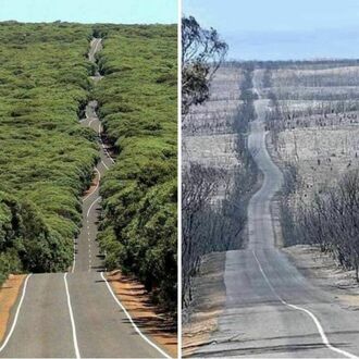 Australijska Wyspa Kangura przed i po pożarze