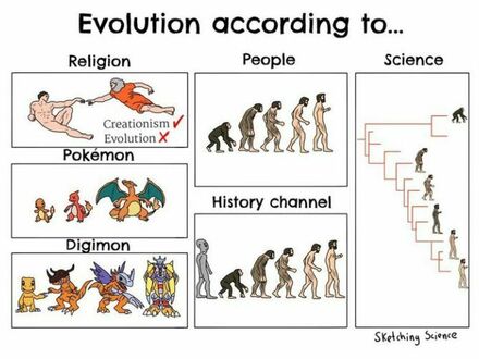 Rożne podejścia do ewolucji