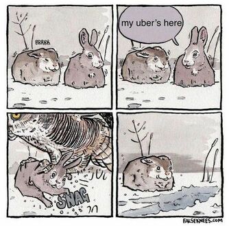 Najszybszy Uber