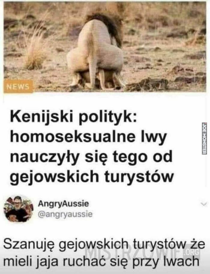 kenijski polityk homoseksualne lwy nauczyły się tego od gejowskich turystów