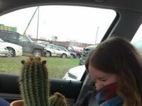 Niegrzeczny kaktusik