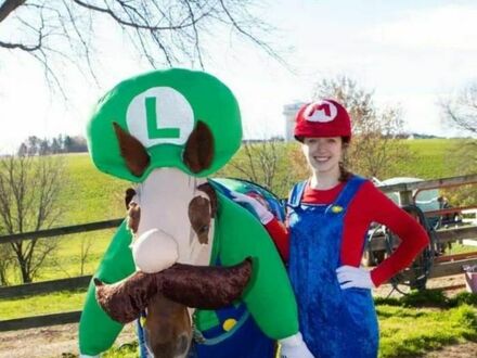 Cosplay Mario i Luigi