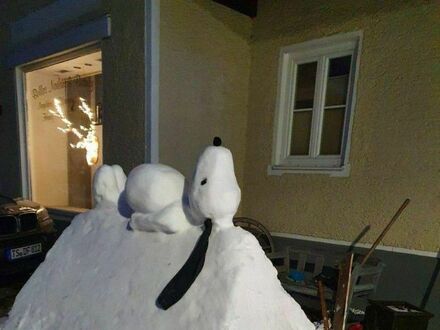 Zimowy Snoopy