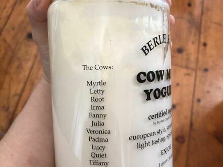 Jogurt z wypisanymi imionami krów od który pochodziło mleko