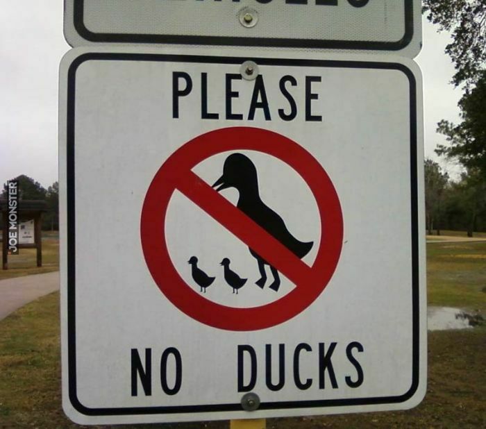 please no ducks