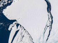 Pole lodowe, które oderwało się od lądolodu na Antarktydzie - 24 stycznia 2023