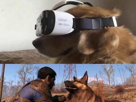 Gogle VR dla psów