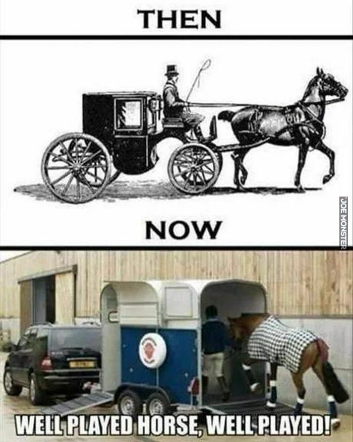 then now well played horse