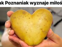 Poznańskie LOVE
