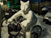 Koteczek, co jeździł rowerem